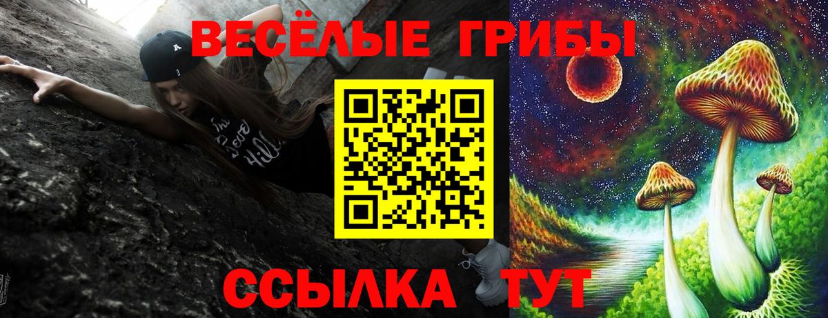 Псилоцибиновые грибы GOLDEN TEACHER Омск